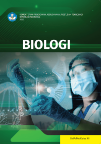 Image of Biologi kelas XII Kumer